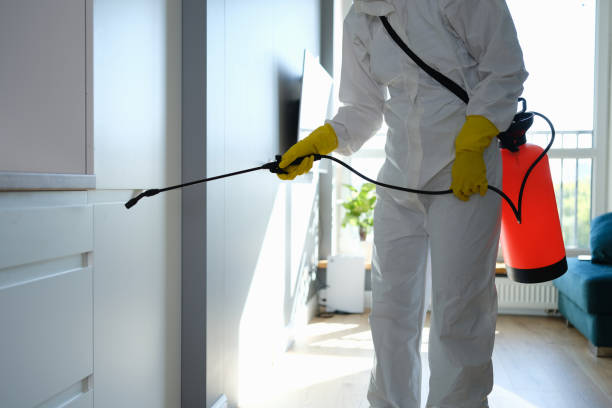 Best Biohazard Mold Removal  in USA